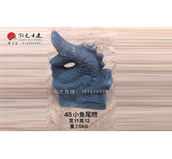 45小鱼尾吻